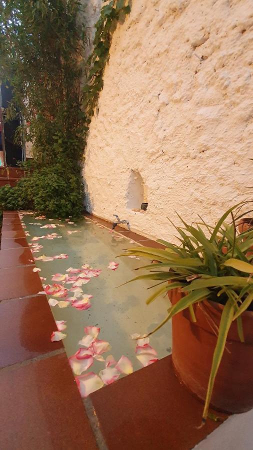 Casa Bambu Daire Granada Dış mekan fotoğraf