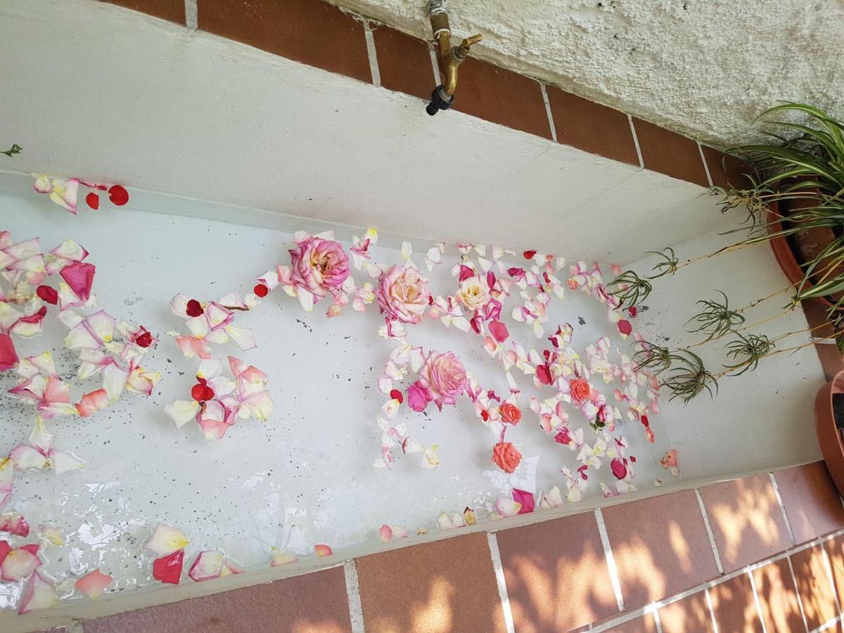 Casa Bambu Daire Granada Dış mekan fotoğraf